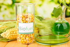 Riverton biofuel availability