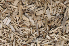 biomass boilers Riverton